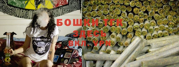 альфа пвп Гусев