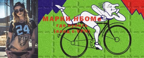 альфа пвп Гусев