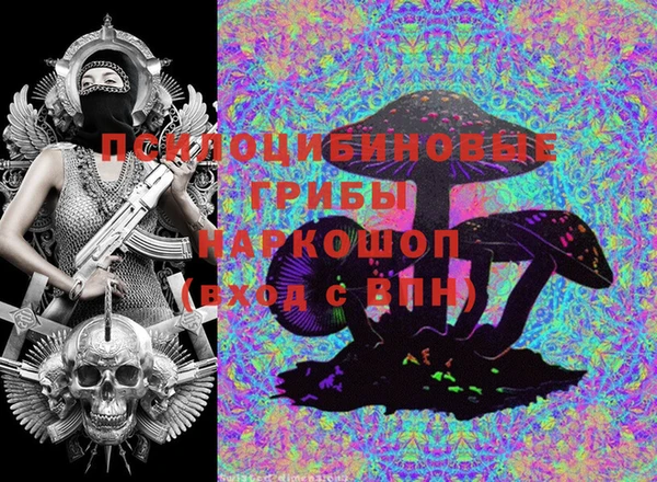 альфа пвп Гусев