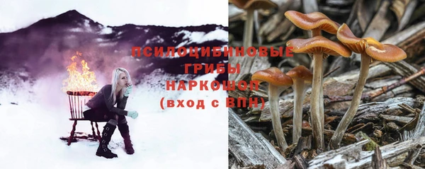 синтетический гашиш Гусь-Хрустальный
