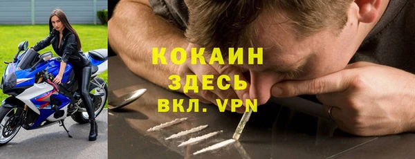 альфа пвп Гусев