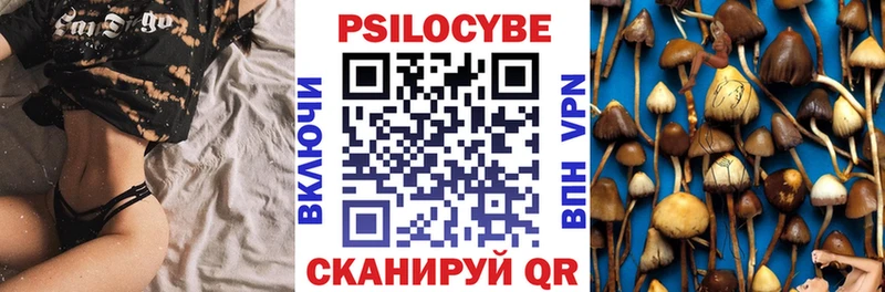 Псилоцибиновые грибы мицелий  Купить закладки  Константиновск 